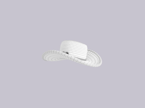 Hat725 Modelo 3D