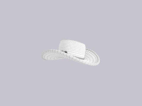 Hat725 3D Model