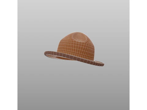 Hat732 3D Model