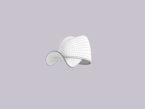 Hat733 3D Model