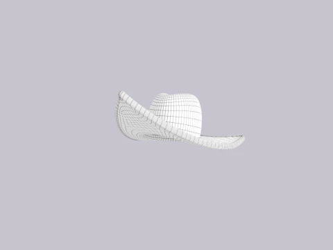 Hat734 3D Model