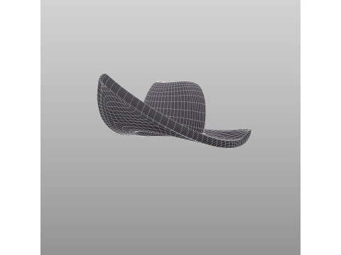 Hat734 3D Model