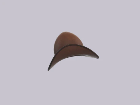 Hat739 3D Model
