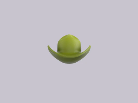 Hat740 3D Model