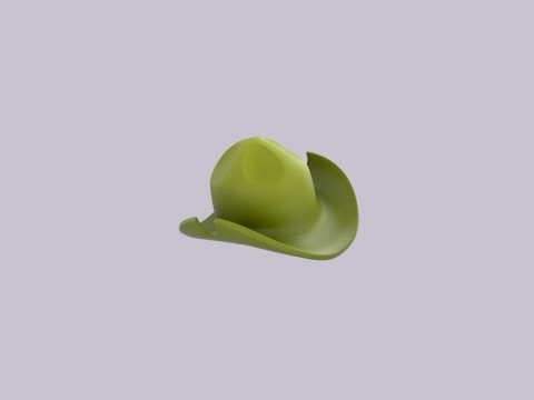 Hat740 3D Model