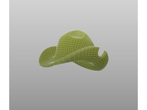 Hat740 3D Model