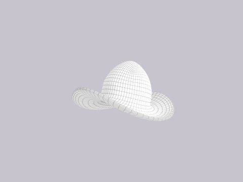 Hat745 3D Model