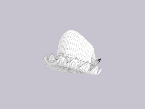 Hat748 3D Model