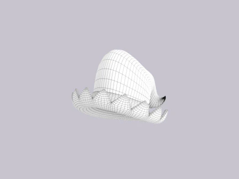 Hat748 3D Model