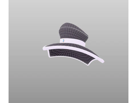 Hat754 3D Model