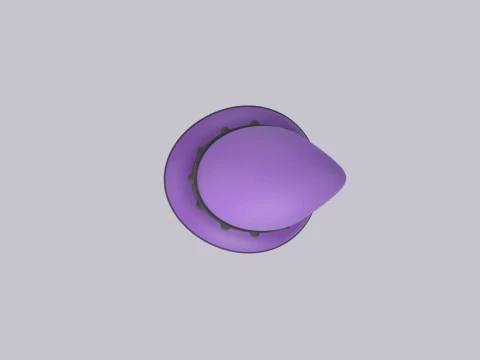 Hat755 3D Model