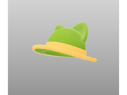 Hat761 Model 3D