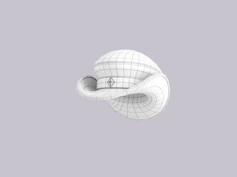 Hat763 3D Model