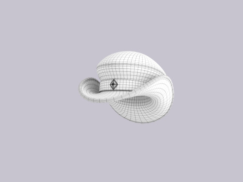 Hat763 3D Model