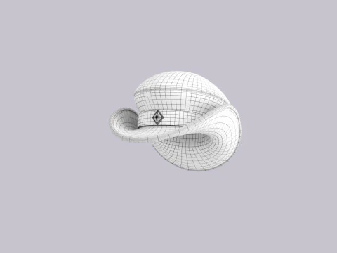 Hat763 3D Model