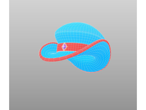 Hat763 3D Model