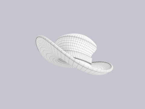 Hat765 3D Model