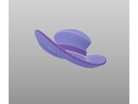 Hat765 3D Model