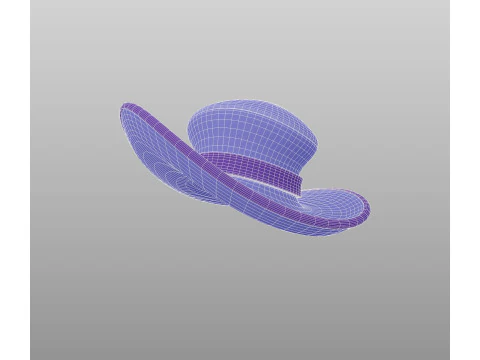 Hat765 3D Model