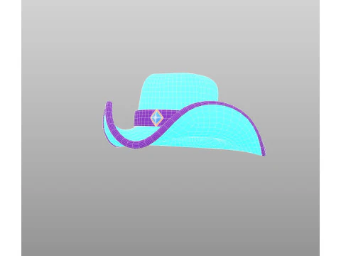 Hat769 3D Model