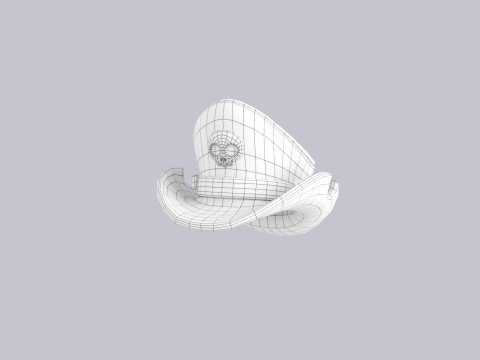 Hat786 3D Modell