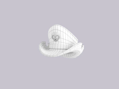 Hat786 3D Model