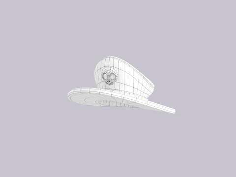 Hat790 3D Model