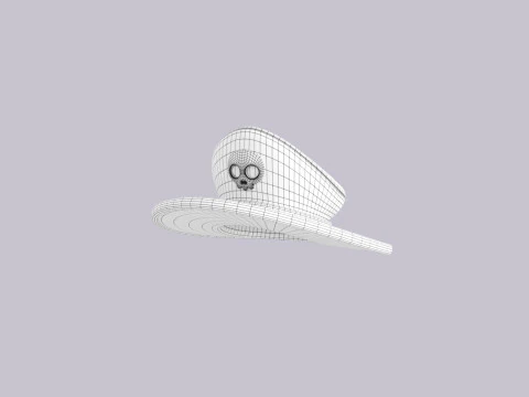 Hat790 3D Model