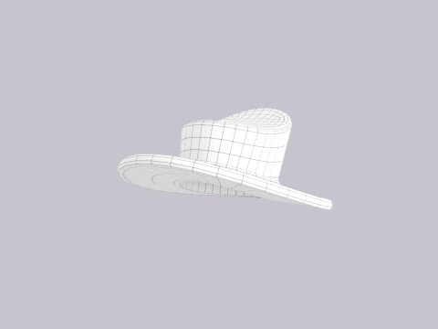 Hat796 3D Model