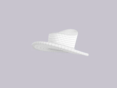 Hat796 3D Model