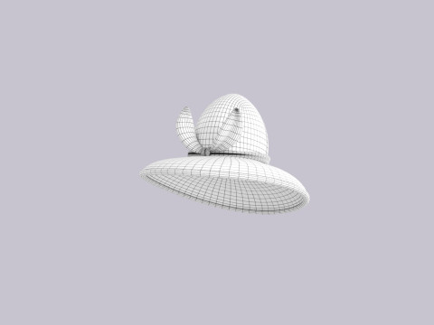 Hat797 Modello 3D