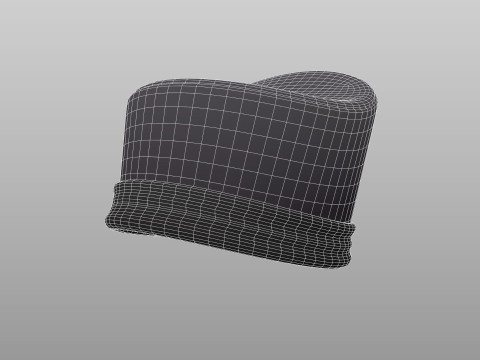 Hat801 3D Model