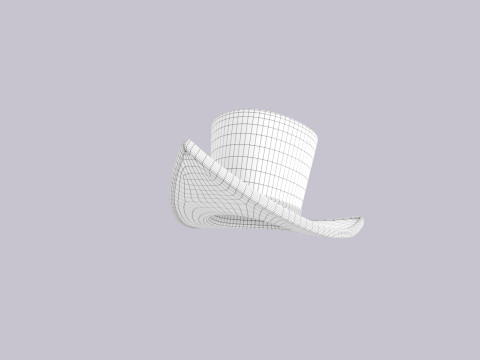 Hat804 Modelo 3D