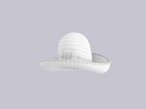 Hat805 3D 模型