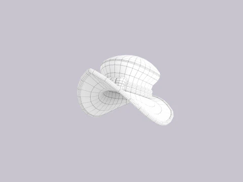 Hat809 3D Model