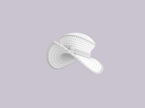 Hat809 Model 3D