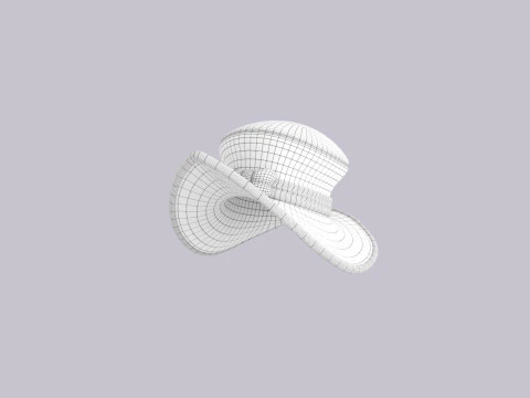 Hat809 3D Model