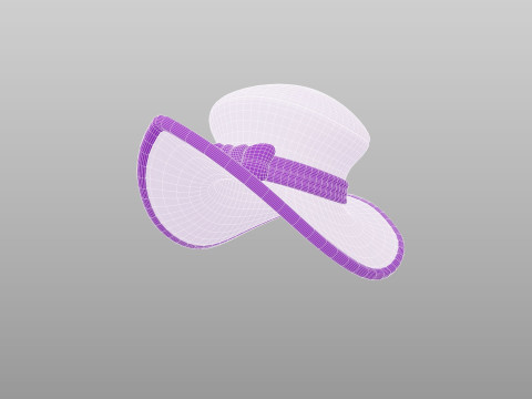 Hat809 Model 3D
