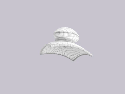 Hat816 3D Model