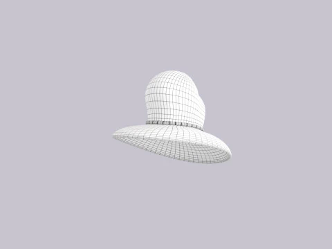 Hat818 3D Model
