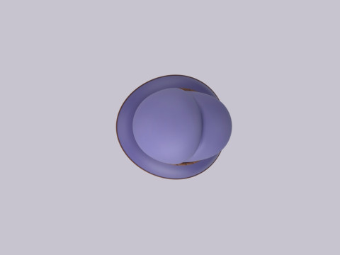 Hat819 Modèle 3D
