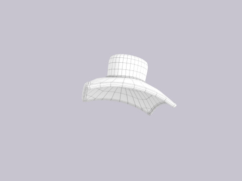 Hat824 3D Modell