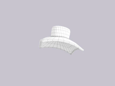 Topi824 Model 3D