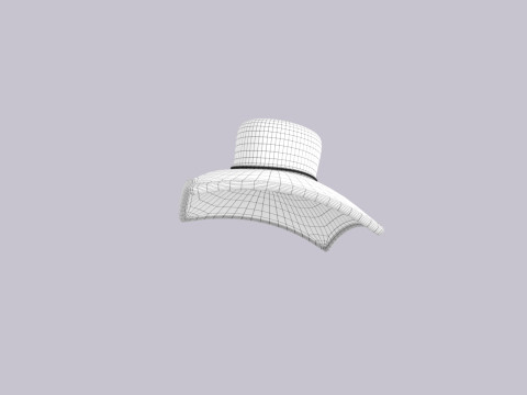 Hat824 3D Modell
