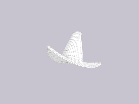 Hat843 Model 3D