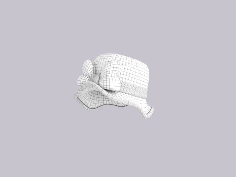Hat852 3D Model