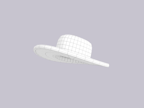 Hat855 Modèle 3D