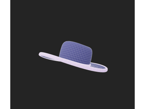 Hat855 Modèle 3D
