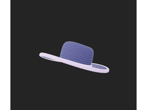 Hat855 3D Model
