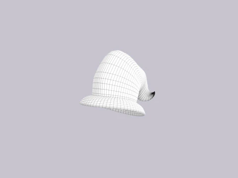 Hat865 3D Model